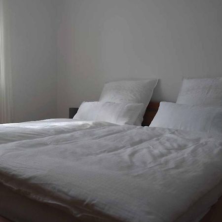 Ferienwohnung Miedl 豪岑堡 外观 照片